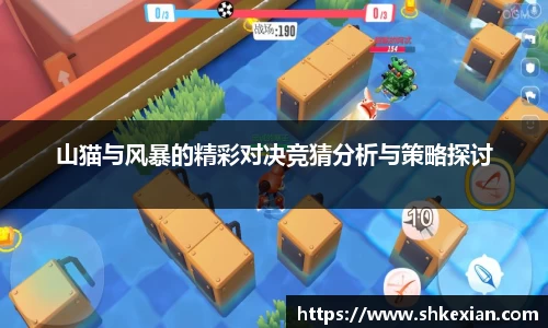 山猫与风暴的精彩对决竞猜分析与策略探讨